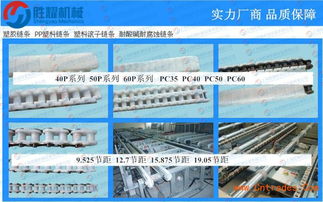 漯河刮泥機(jī)塑料鏈條廠家直銷如何在上海通過(guò)互聯(lián)網(wǎng)實(shí)現(xiàn)銷售突圍