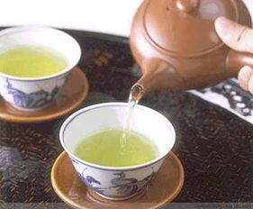 修武茶韻 品一葉芳華，悟人生百味