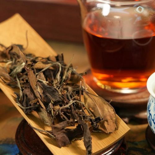 白茶品鑒 新茶鮮爽，老茶醇厚，哪種更勝一籌？