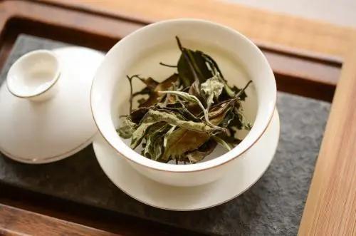 白茶四季皆宜，品味清雅需有方